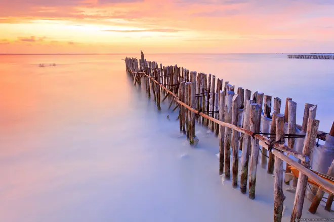 Praesent quis orci sit amet ante facilisis suscipit.