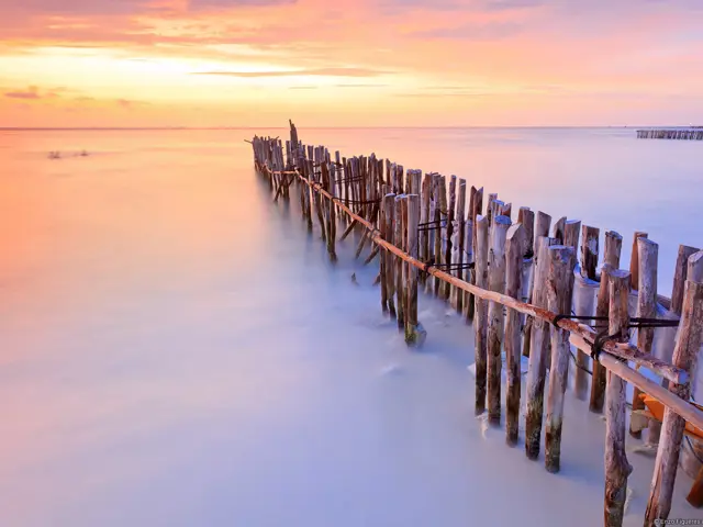 Praesent quis orci sit amet ante facilisis suscipit.