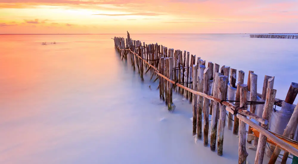 Praesent quis orci sit amet ante facilisis suscipit.