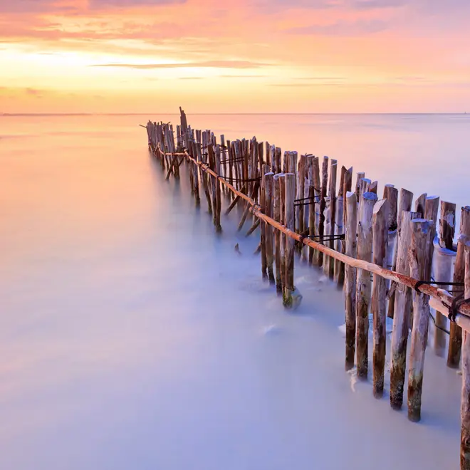 Praesent quis orci sit amet ante facilisis suscipit.