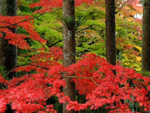 0Cd97b8e F23f 4884 Bc87 0Ef4cada2cc0 5